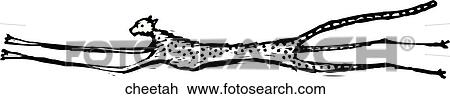 Clipart - Cheetah. Fotosearch