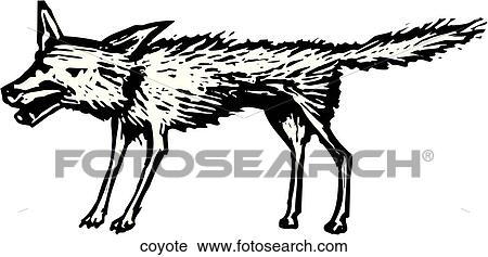 Coyote View Large Clip Art Graphic Clipart - Coyote. Fotosearch