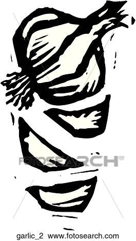 Clipart - Garlic 2. Fotosearch