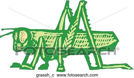 Grasshopper View Large Clip Art Graphic Clipart - Grasshopper. Fotosearch