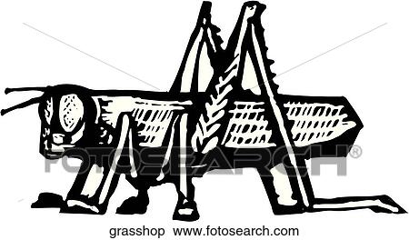 Clipart - Grasshopper. Fotosearch