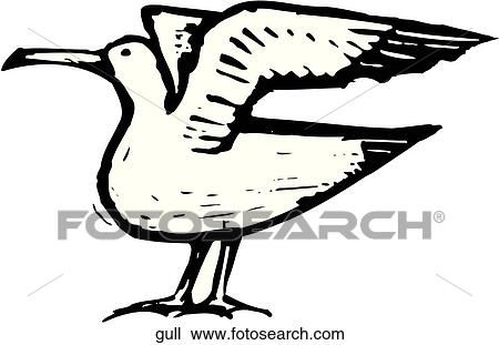 Clipart - Gull. Fotosearch