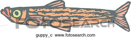 Clipart - Guppy. Fotosearch