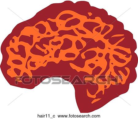 Hair 11 View Large Clip Art Graphic Clipart - Hair 11. Fotosearch