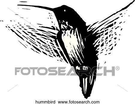 Hummingbird View Large Clip Art Graphic Clipart - Hummingbird. Fotosearch
