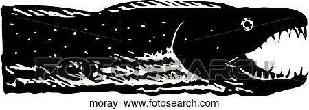 Clip Art - Moray. Fotosearch