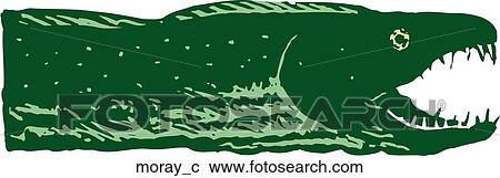Clipart - Moray. Fotosearch