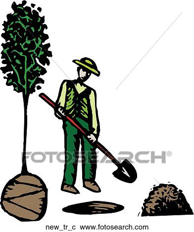 Clipart - New Tree. Fotosearch