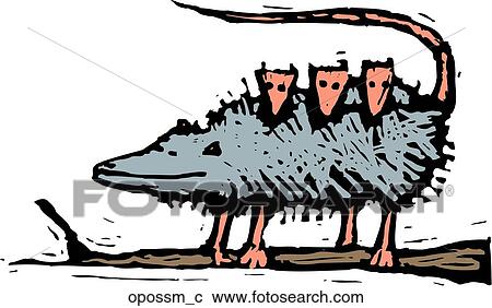Clipart - Opossum Family. Fotosearch