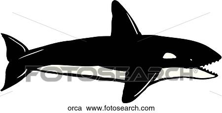 Clipart - Orca. Fotosearch