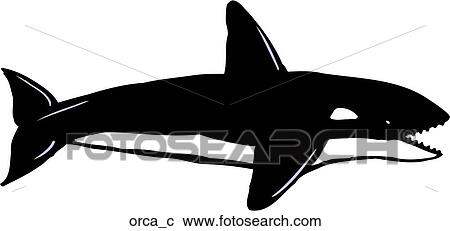 Orca View Large Clip Art Graphic Clipart - Orca. Fotosearch