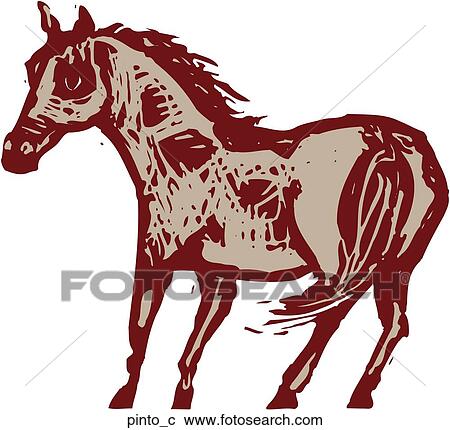 Clipart - Pinto. Fotosearch