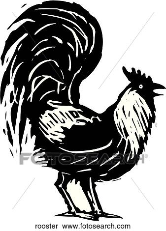 Rooster View Large Clip Art Graphic Clipart - Rooster. Fotosearch