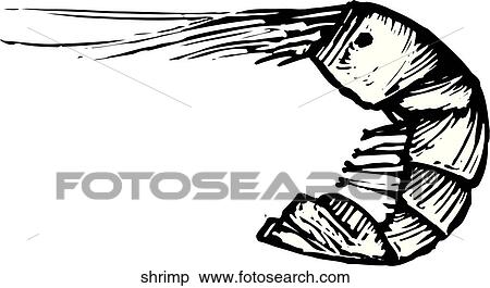 Clipart - Shrimp. Fotosearch