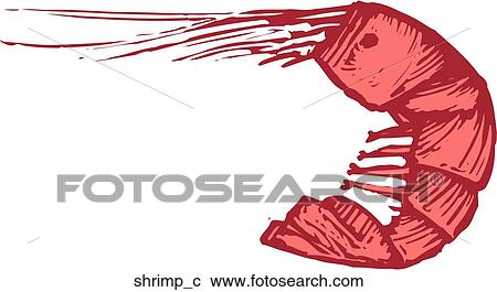 Shrimp View Large Clip Art Graphic Clipart - Shrimp. Fotosearch