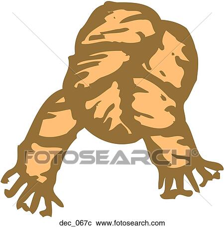 Clipart - Dec 067. Fotosearch