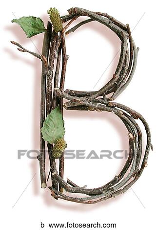 Stock Image - Stick B. Fotosearch