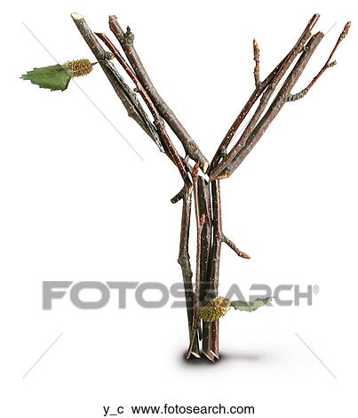 Stock Image - Stick Cast Shadow Y. Fotosearch