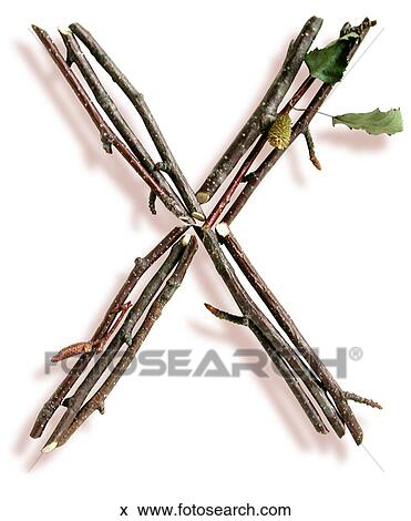 Stick X View Large Photo Image Stock Photo - Stick X. Fotosearch