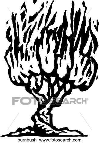 燃えているブッシュ クリップアート 切り張り イラスト 絵画 集 Burnbush Fotosearch