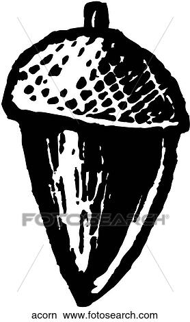 Acorn View Large Clip Art Graphic Clipart - Acorn. Fotosearch