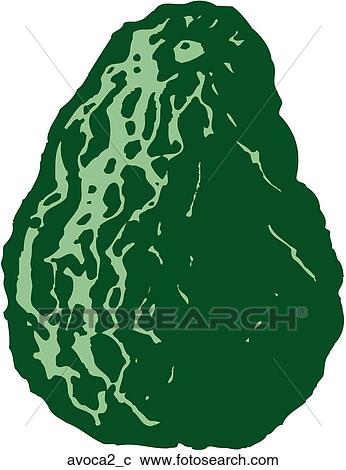 Avocado 2 View Large Clip Art Graphic Clipart - Avocado 2. Fotosearch