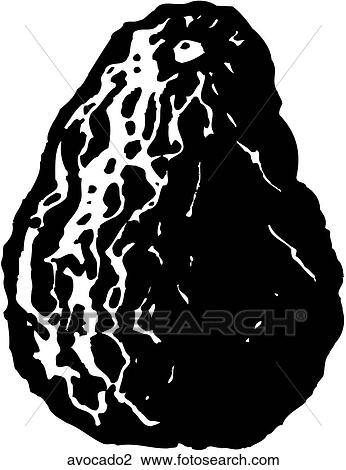 Clipart - Avocado 2. Fotosearch