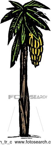 Banana Tree View Large Clip Art Graphic Clipart - Banana Tree. Fotosearch