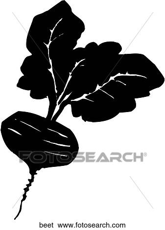Clip Art - Beet. Fotosearch