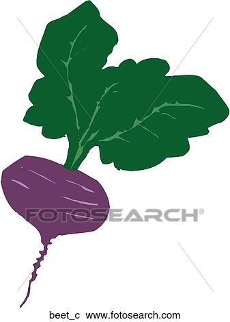 Clipart - Beet. Fotosearch