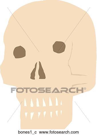 Bones 1 View Large Clip Art Graphic Clipart - Bones 1. Fotosearch