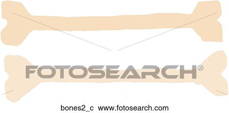 Clipart - Bones 2. Fotosearch