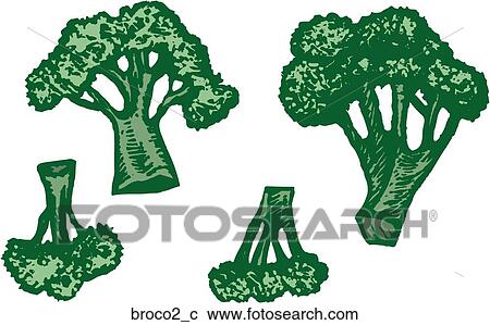 Clipart - Broccoli. Fotosearch