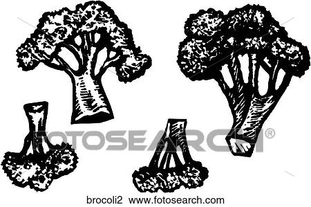 Clipart - Broccoli. Fotosearch