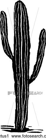 Cactus 1 View Large Clip Art Graphic Clipart - Cactus 1. Fotosearch