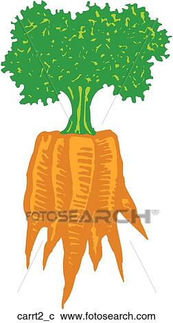Clipart - Carrot 2. Fotosearch