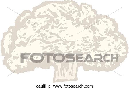 Clipart - Cauliflower. Fotosearch