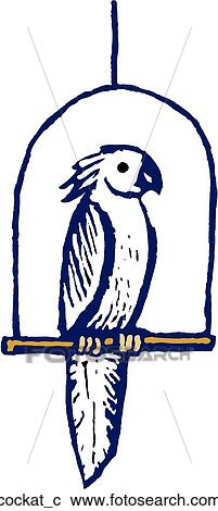 Clipart - Cockatoo. Fotosearch