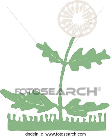 Dandelion View Large Clip Art Graphic Clipart - Dandelion. Fotosearch
