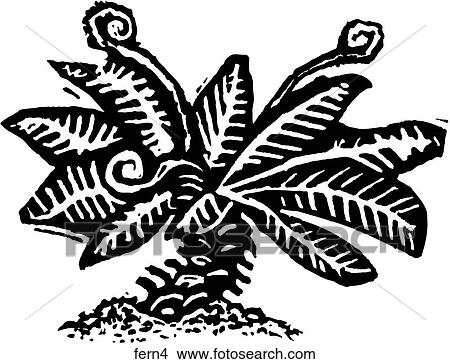 Fern 4 View Large Clip Art Graphic Clipart - Fern 4. Fotosearch