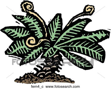 Clipart - Fern 4. Fotosearch