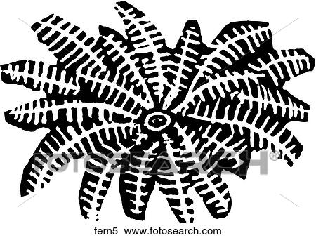 Fern 5 View Large Clip Art Graphic Clipart - Fern 5. Fotosearch