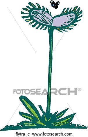 Clipart - Fly Trap. Fotosearch