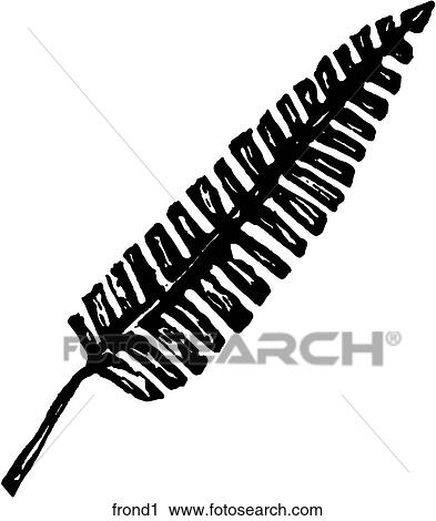 Clipart - Frond 1. Fotosearch