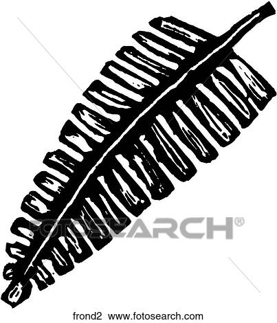Frond 2 View Large Clip Art Graphic Clipart - Frond 2. Fotosearch