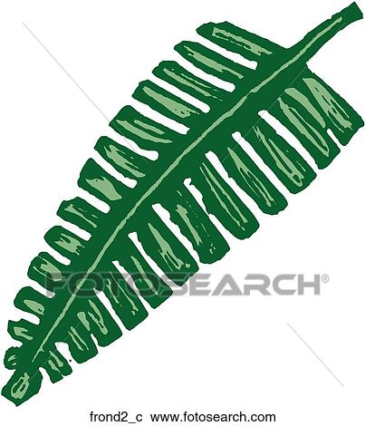 Frond 2 View Large Clip Art Graphic Clipart - Frond 2. Fotosearch