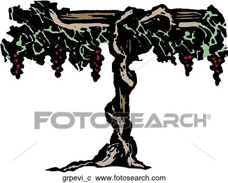 Grapevine View Large Clip Art Graphic Clipart - Grapevine. Fotosearch