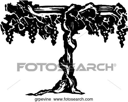 Grapevine View Large Clip Art Graphic Clipart - Grapevine. Fotosearch