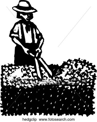 Hedge Clip View Large Clip Art Graphic Clipart - Hedge Clip. Fotosearch