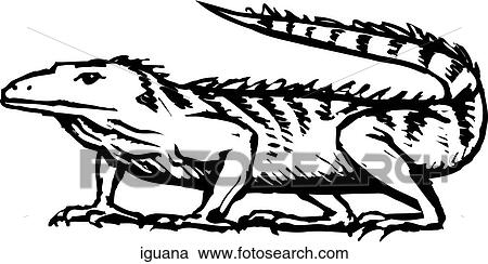 Iguana View Large Clip Art Graphic Clipart - Iguana. Fotosearch